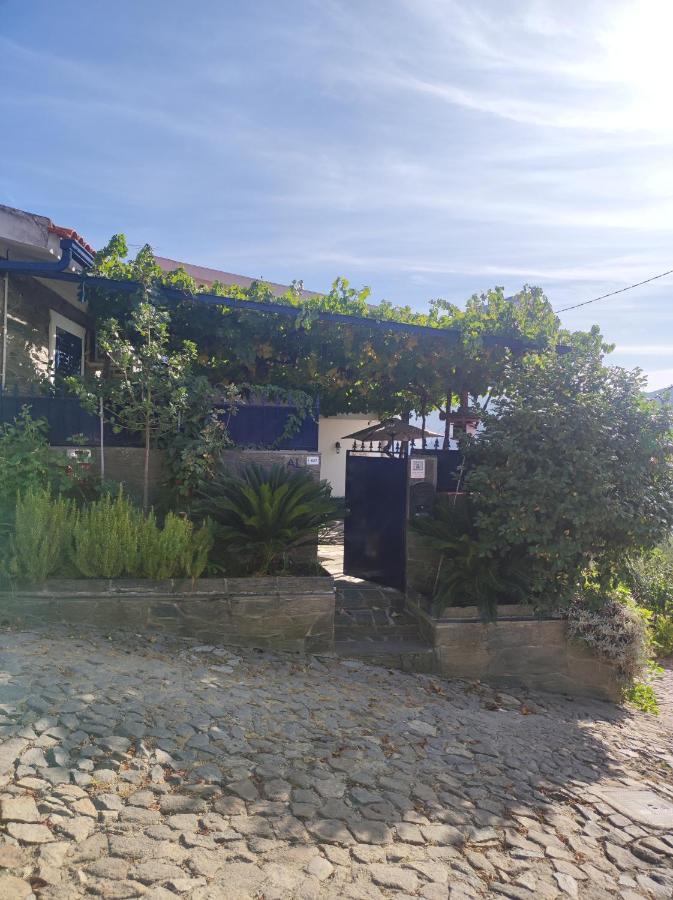 Encosta Do Pinhao