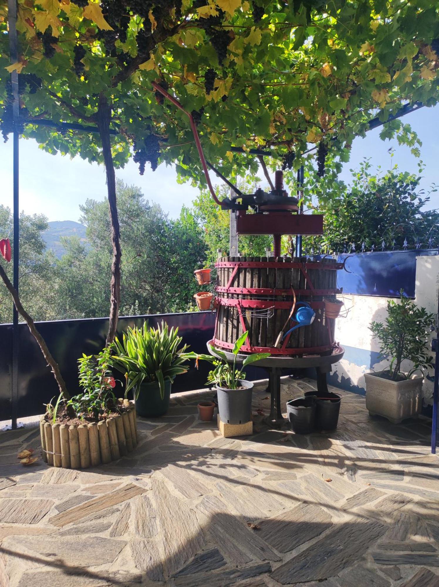 Encosta Do Pinhao Dom wakacyjny